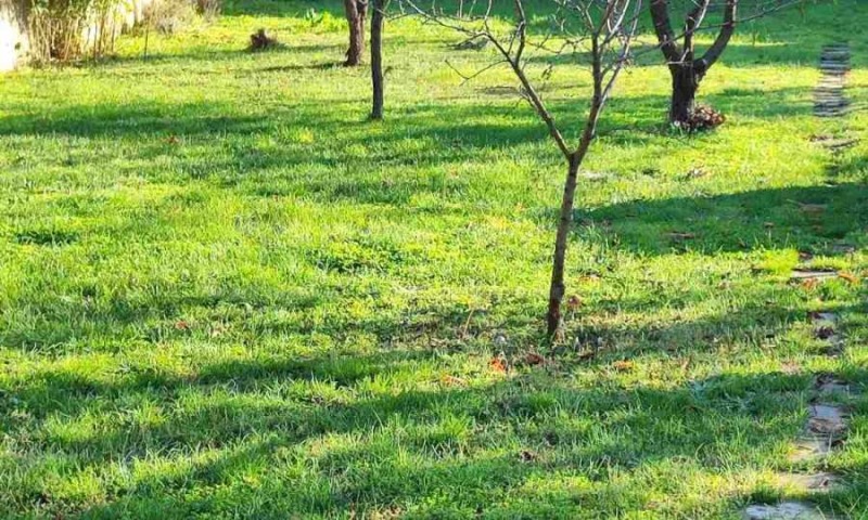 Продава КЪЩА, гр. Варна, м-т Долна Трака, снимка 13 - Къщи - 53431830