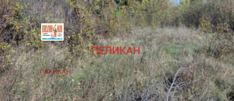 For Sale  Plot region Veliko Tarnovo , Polikraishte , 1000 sq.m | 15522543