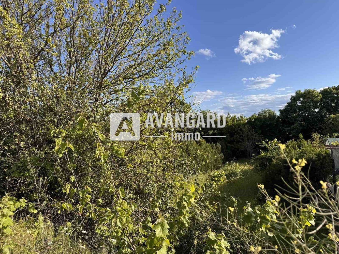 Продава ПАРЦЕЛ | Imot.bg — изображение 1