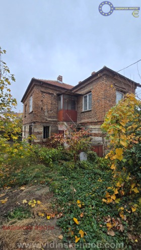 ����� ������� ����,���� �����, ������