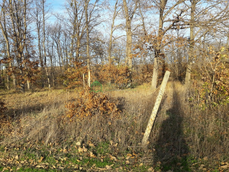 Zu verkaufen  Handlung region Burgas , Kozniza , 1272 qm | 63896455 - Bild [5]