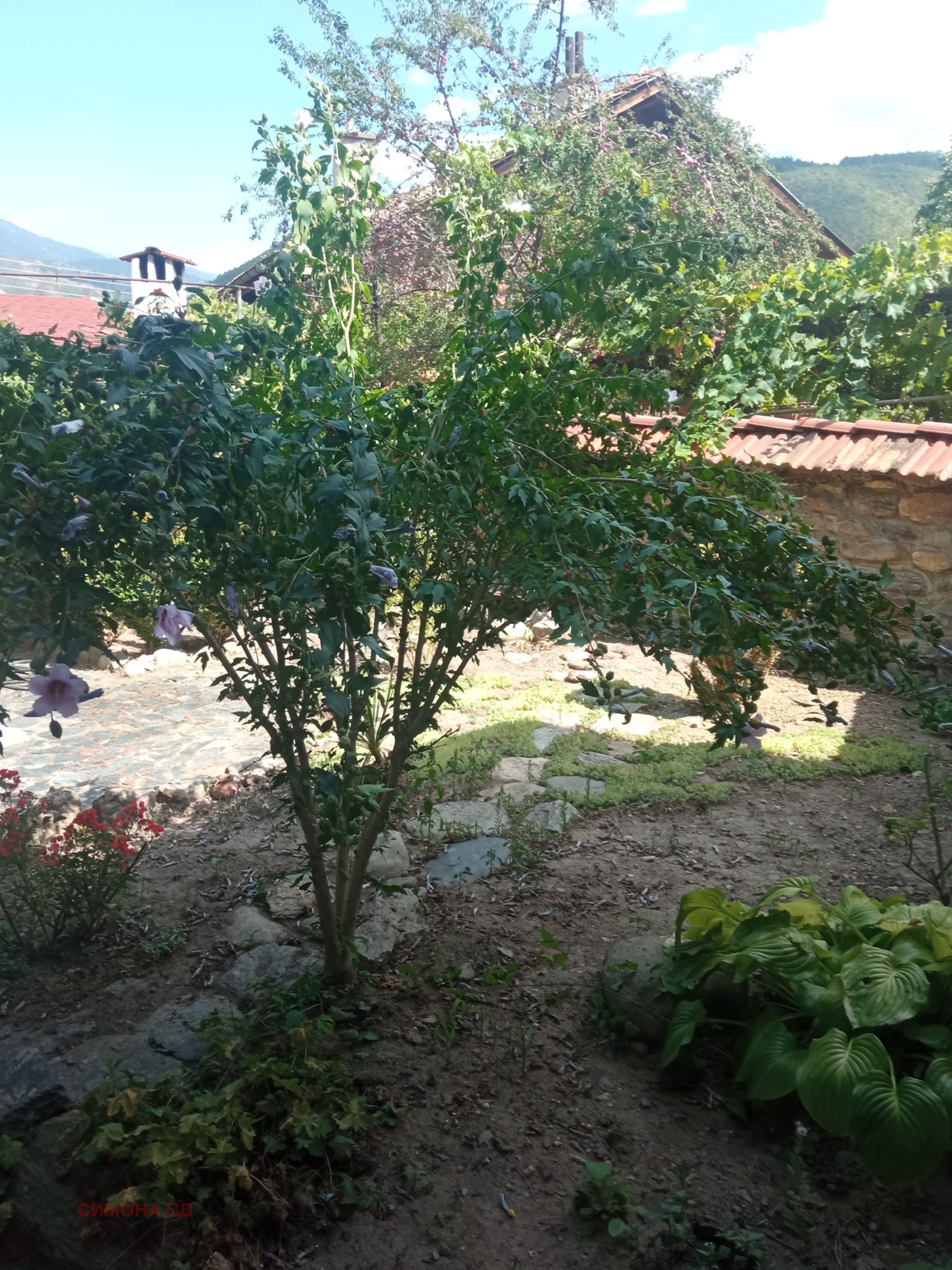 ������� ���� | Imot.bg � ����������� 11