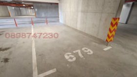 ����� ������� ����������,���� �������, ������