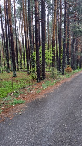 Juoni hiža Zdravets, Plovdivin alue 1