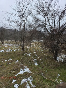 ������� ������ | Imot.bg � ����� ������ 3