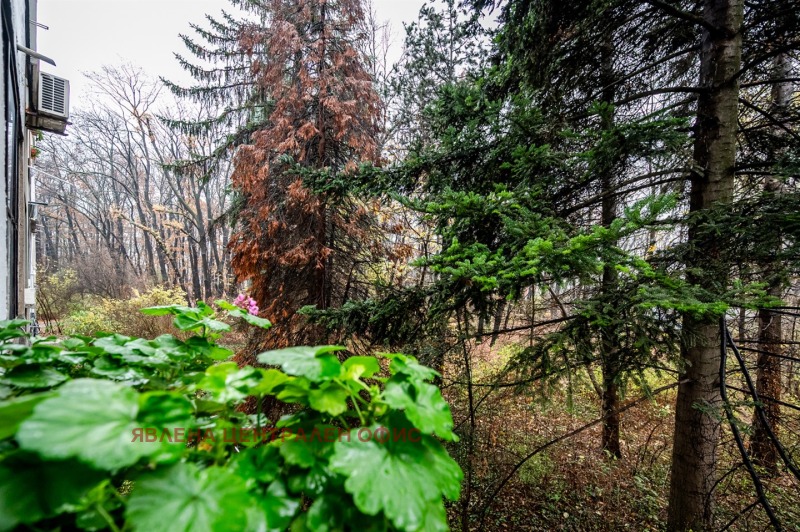 Продава 3-СТАЕН, гр. София, Лозенец, снимка 8 - Апартаменти - 53148084