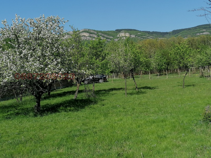 Продава ПАРЦЕЛ, с. Златевци, област Габрово, снимка 7 - Парцели - 52784596