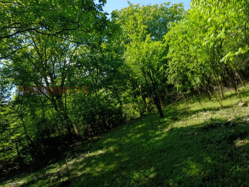 Продава ПАРЦЕЛ, гр. Ябланица, област Ловеч