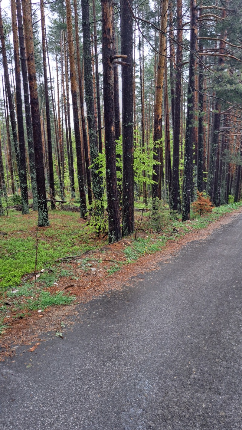 Na prodej  Spiknutí oblast Plovdiv , chiža Zdravec , 5000 m2 | 51978351