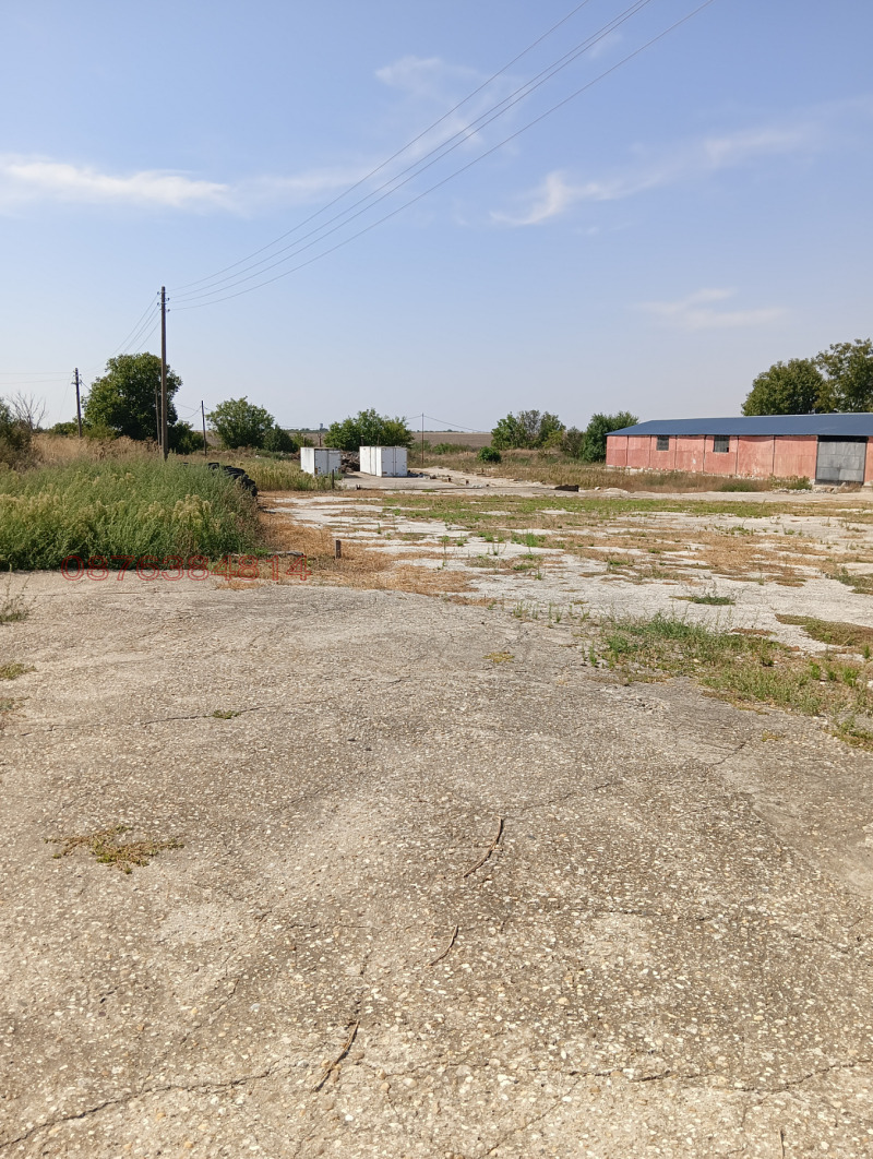 Продава БИЗНЕС ИМОТ, с. Зафирово, област Силистра, снимка 9 - Други - 52769841