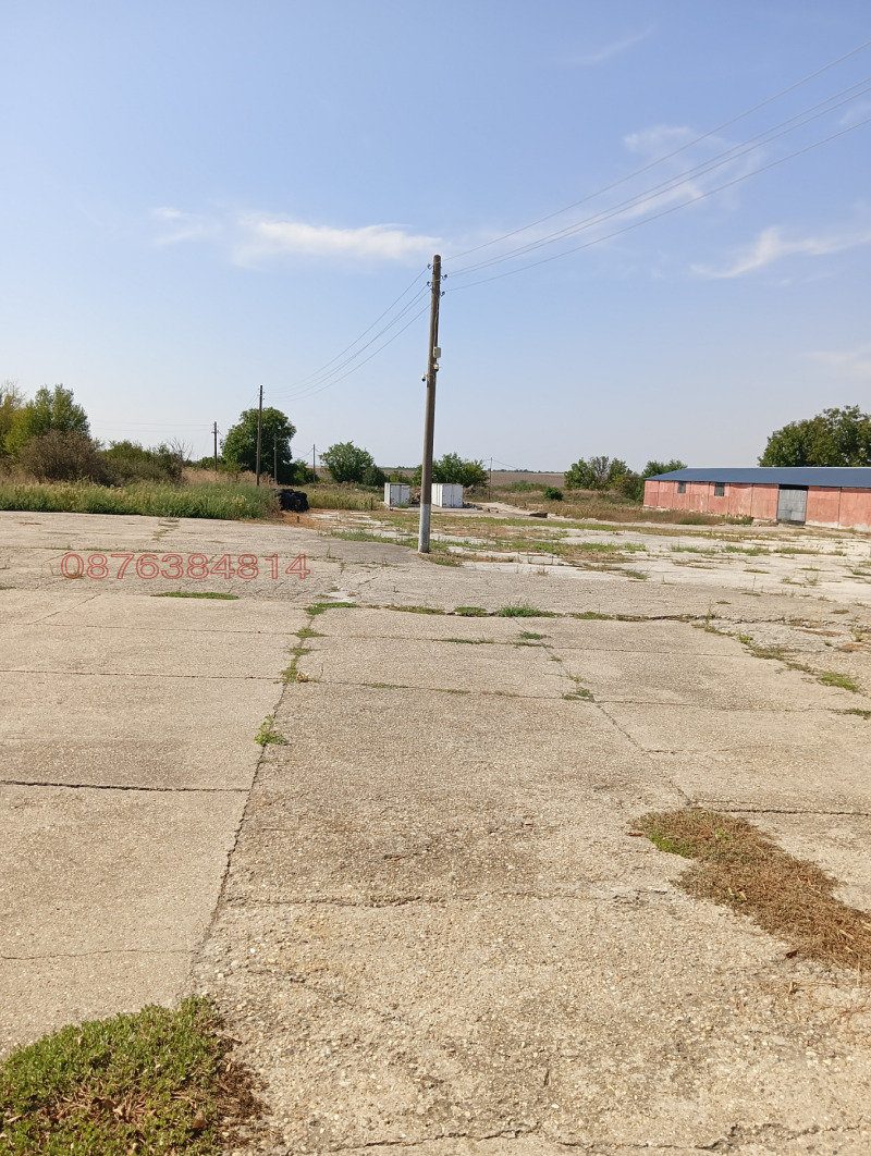 Продава БИЗНЕС ИМОТ, с. Зафирово, област Силистра, снимка 5 - Други - 52769841