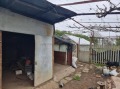 Продава КЪЩА, с. Дъбовик, област Добрич, снимка 10