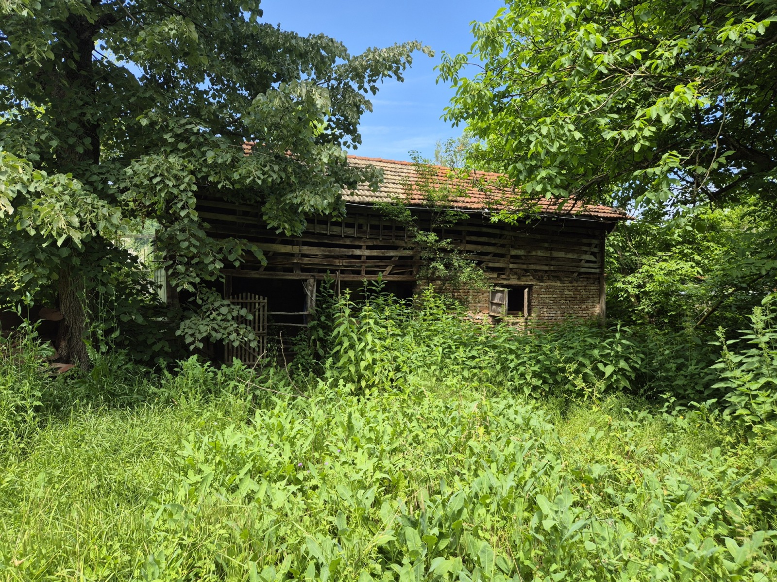 ������� ���� | Imot.bg � ����������� 17