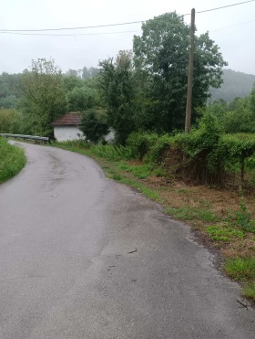 ����� ������� ����,��. �����, ������ ������ �������