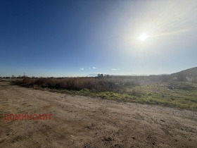 ����� ������� ������,�. ������, ������ �����