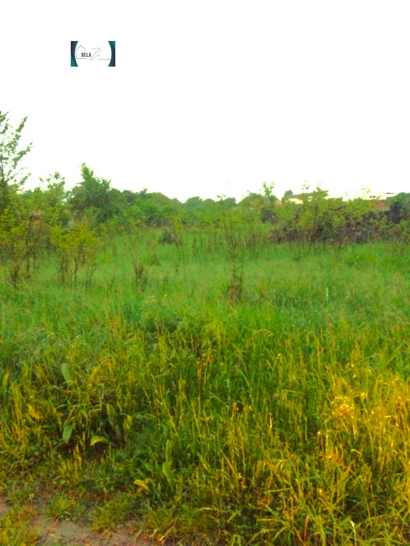 Til salg  Grund region Pernik , Dolna Dikanya , 990 kvm | 24854604