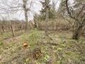 Продава ПАРЦЕЛ, град София, с. Железница • 199900 € • 76408031 — Holmes.bg