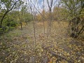 Продава ПАРЦЕЛ, град Русе, Средна кула • 17700 € • 59444554 — Holmes.bg