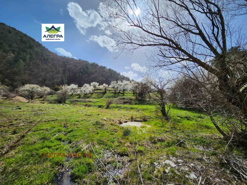 Продава ПАРЦЕЛ в област Пазарджик, гр. Велинград - 10518 кв.м / 230 000 € » 449 840.90 лв., АЛЕГРА ИМОТИ