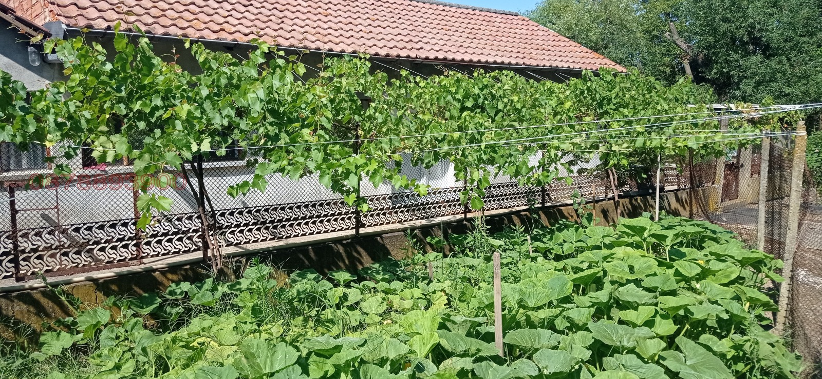 ������� ������������� ������ | Imot.bg � ����������� 5