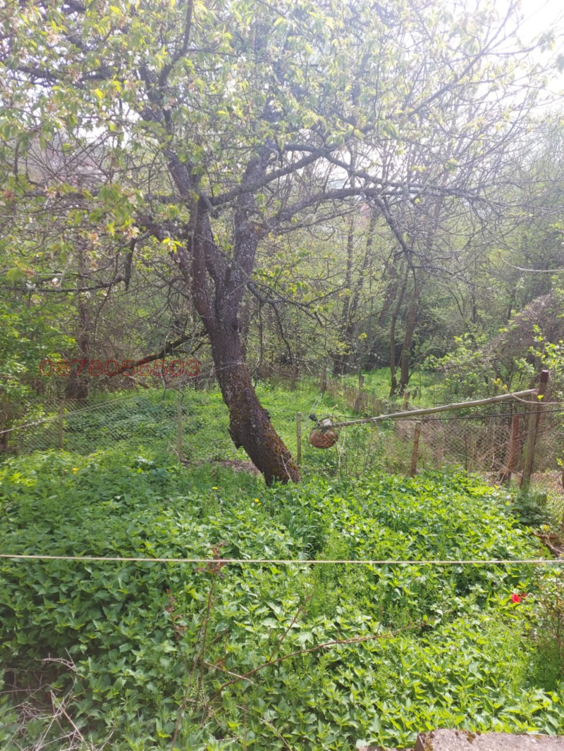 Продава КЪЩА, с. Туроковци, област Перник, снимка 8 - Къщи - 52781525