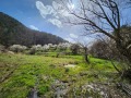 Продава ПАРЦЕЛ, гр. Велинград, област Пазарджик, снимка 1