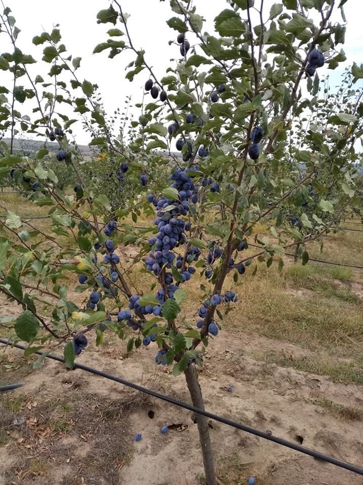 ������� ���������� ���� | Imot.bg � ����������� 3