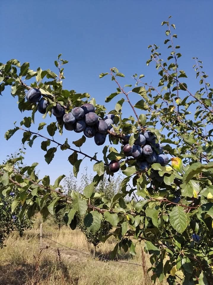 ������� ���������� ���� | Imot.bg � ����������� 6