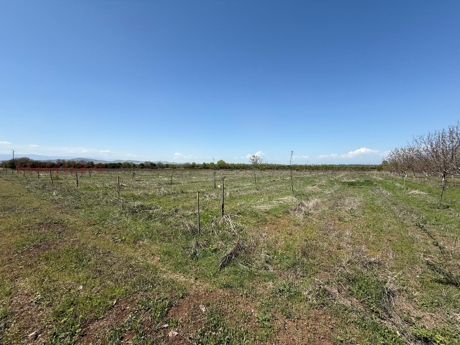 ������� ���������� ���� | Imot.bg � ����������� 10