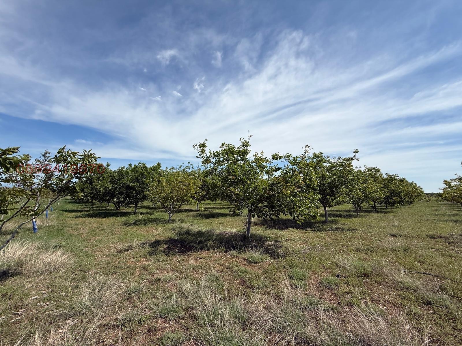 ������� ���������� ���� | Imot.bg � ����������� 5