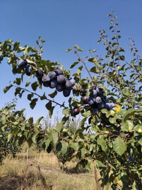 ������� ���������� ���� | Imot.bg � ����� ������ 6