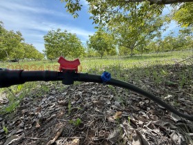 ����� ������� ���������� ����,��. ��������, ������ �������