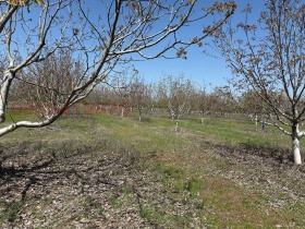 ������� ���������� ���� | Imot.bg � ����� ������ 12