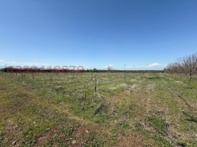 ������� ���������� ���� | Imot.bg � ����� ������ 10