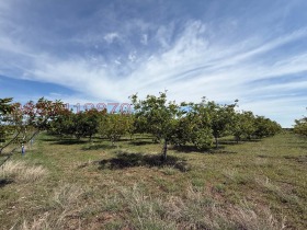 ������� ���������� ���� | Imot.bg � ����� ������ 5