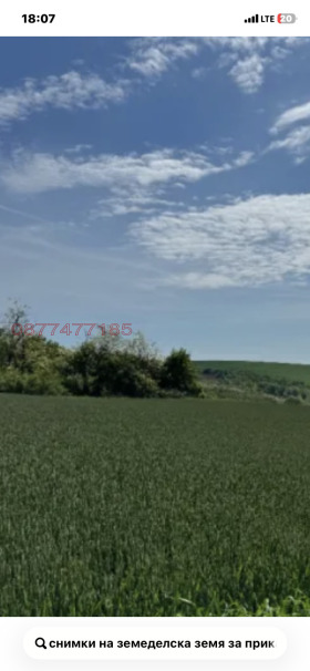 ����� ������� ���������� ����,�. �������, ������ �����