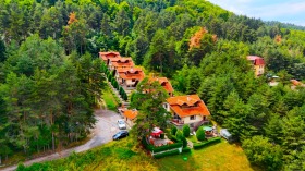 ������ ������� ������ ����