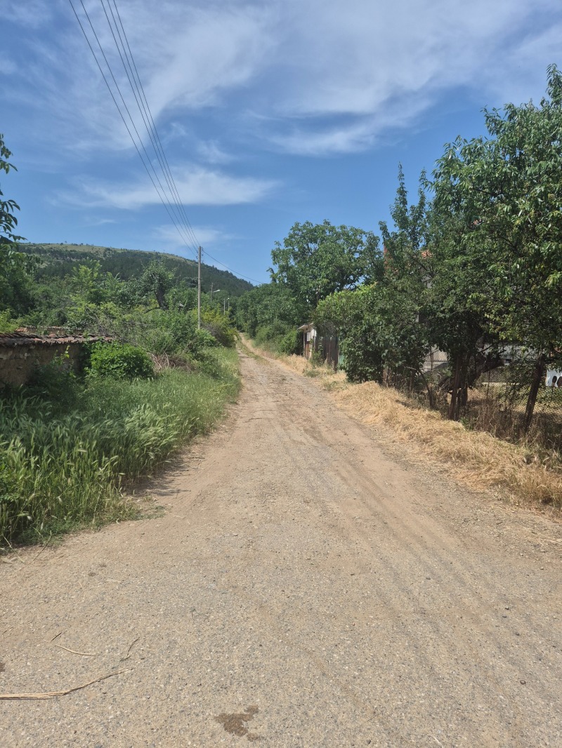 Zu verkaufen  Handlung region Stara Sagora , Dalboki , 980 qm | 83484853 - Bild [4]