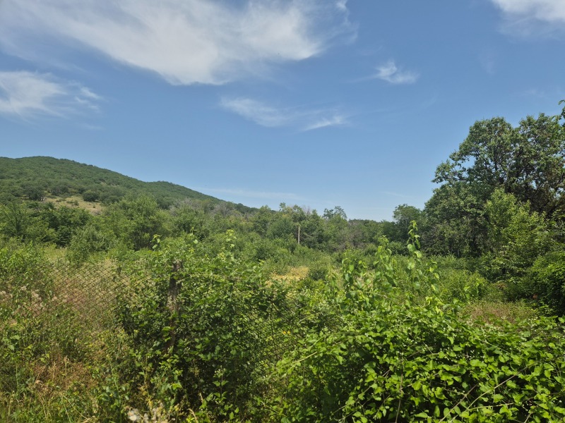 Zu verkaufen  Handlung region Stara Sagora , Dalboki , 980 qm | 83484853 - Bild [3]