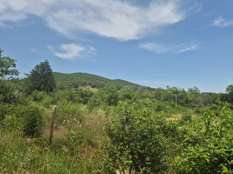 Zu verkaufen  Handlung region Stara Sagora , Dalboki , 980 qm | 83484853 - Bild [2]