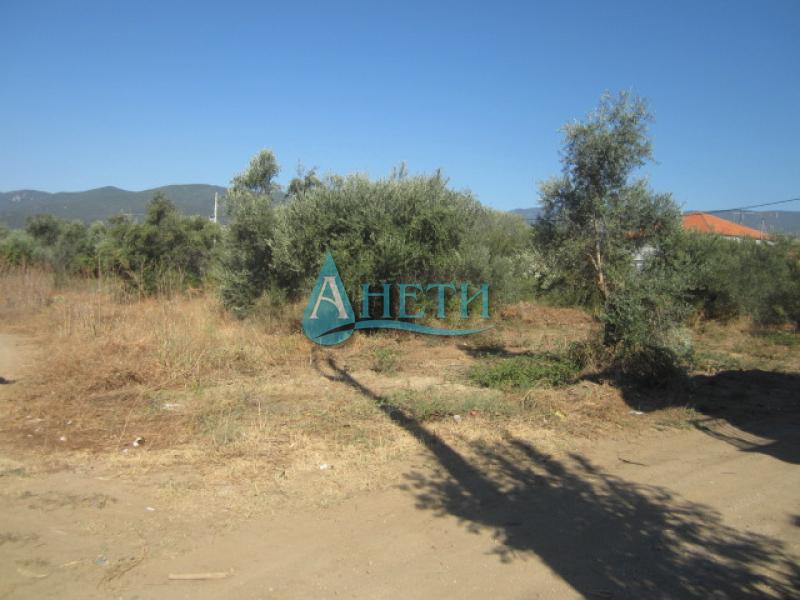 Продава ПАРЦЕЛ | Imot.bg — изображение 2