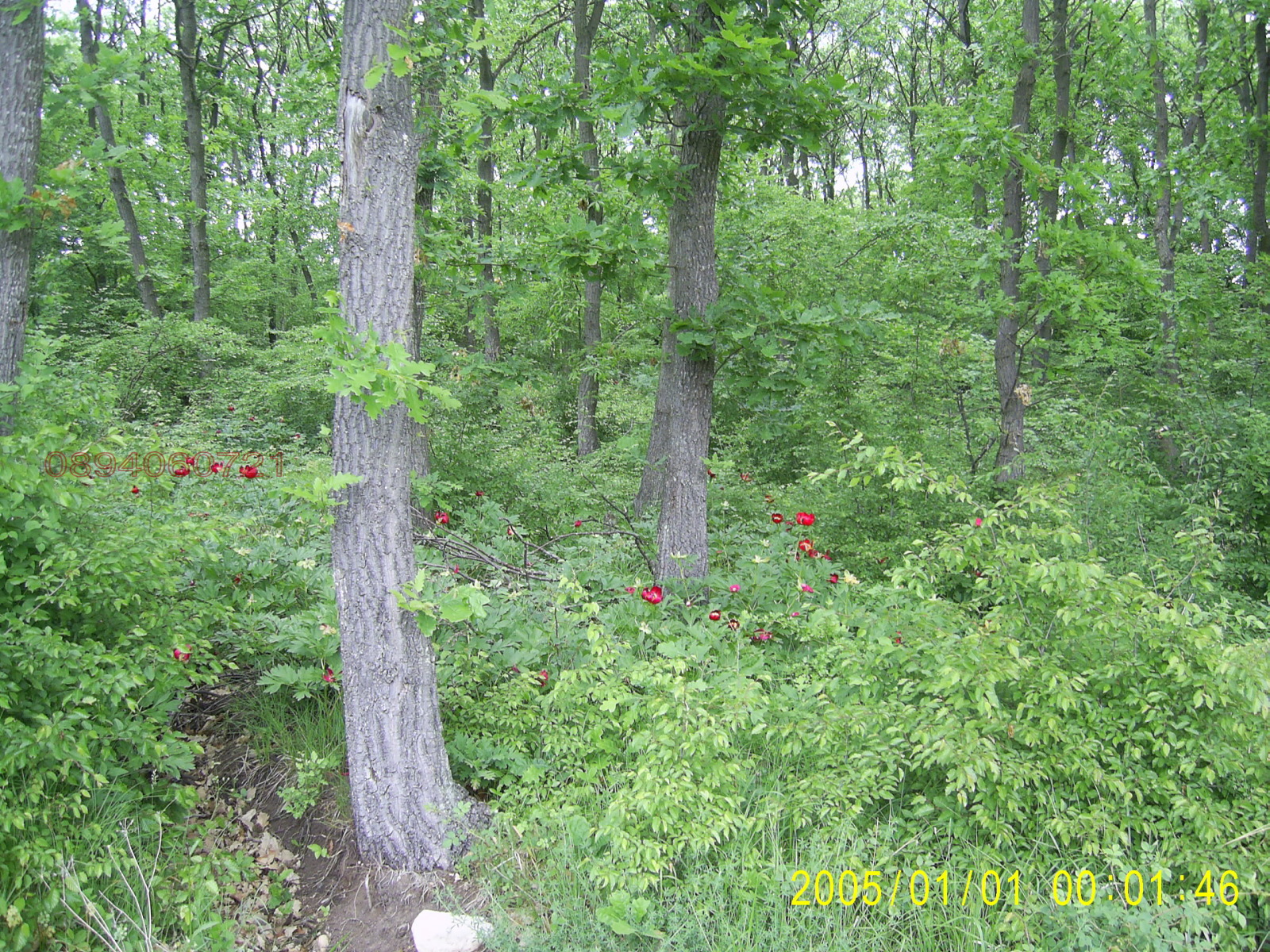 ������� ������ | Imot.bg � ����������� 3