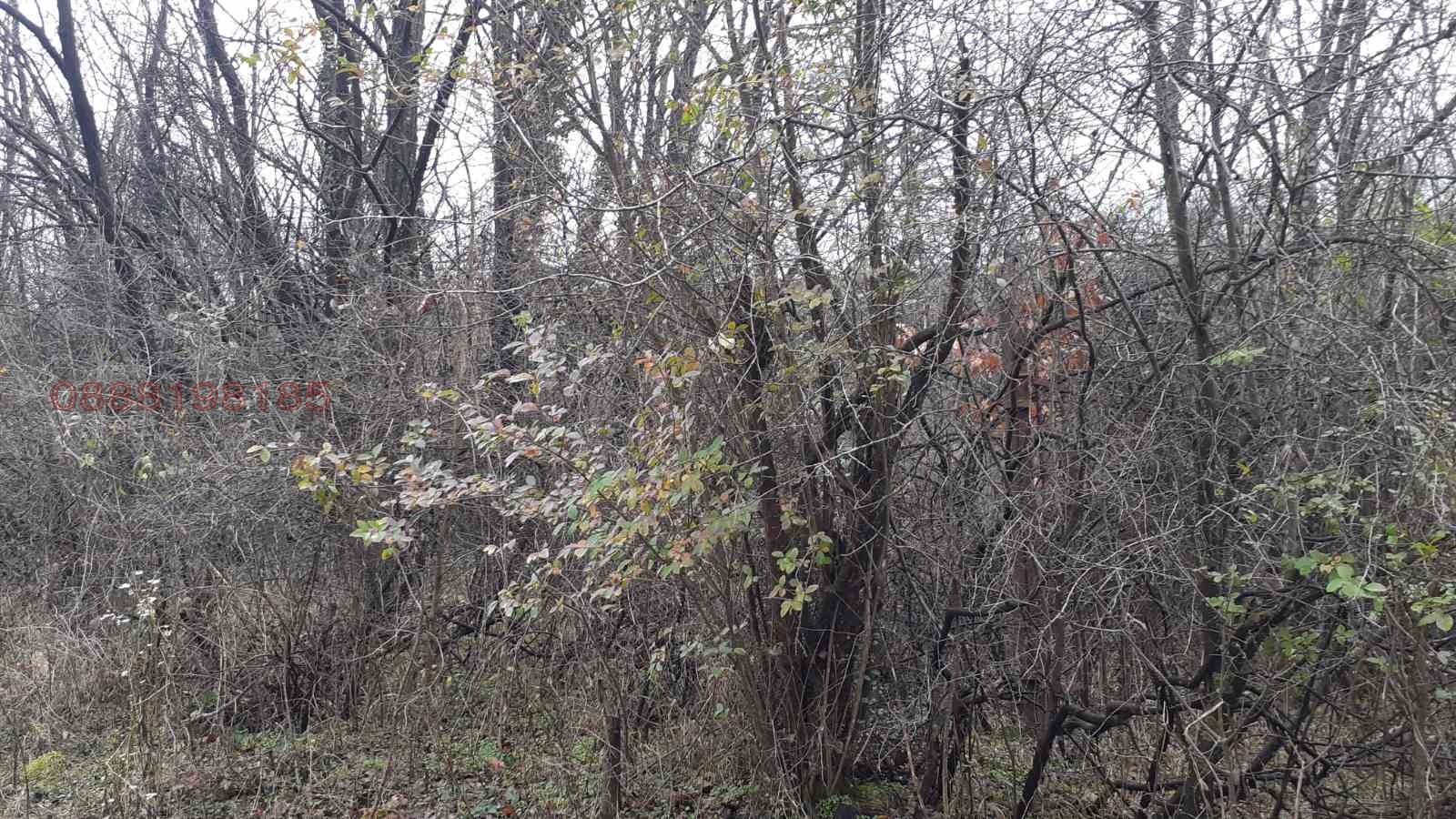 ������� ������ | Imot.bg � ����������� 1