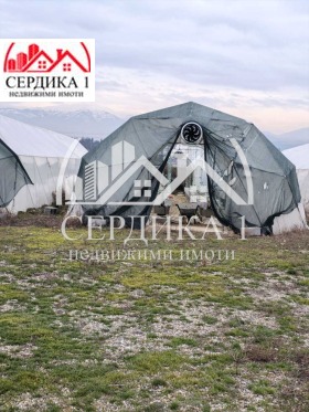 ����� ������� ������,���� �����������, ����� ���������� ����>