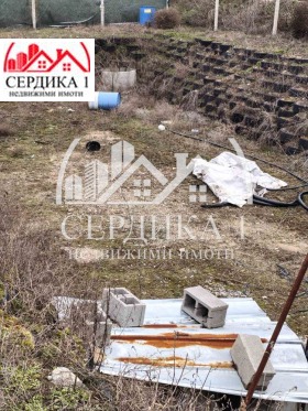 ����� ������� ������,���� �����������, ����� ���������� ����