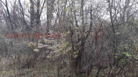 ����� ������� ������,�. ��������, ������ �����