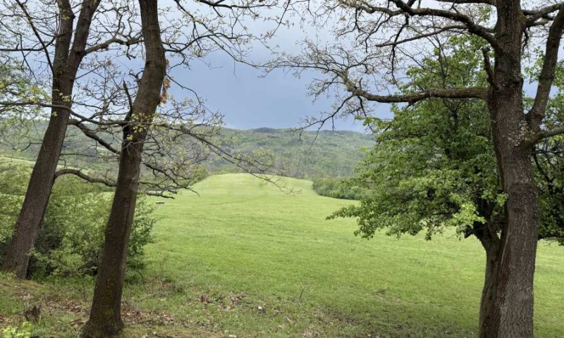 Zu verkaufen  Handlung region Gabrovo , Trjawna , 4140 qm | 20117351 - Bild [3]
