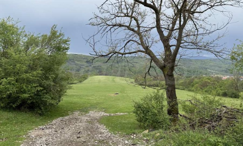 Zu verkaufen  Handlung region Gabrovo , Trjawna , 4140 qm | 20117351 - Bild [5]
