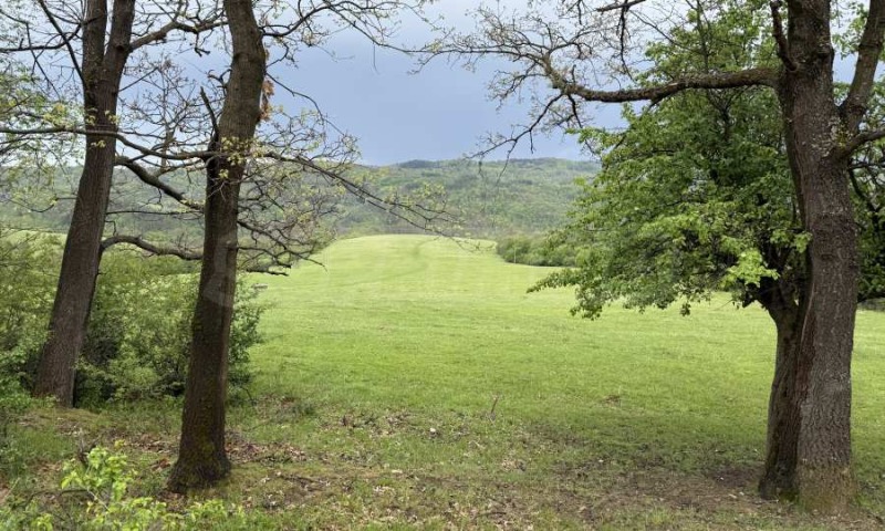 Zu verkaufen  Handlung region Gabrovo , Trjawna , 4140 qm | 20117351