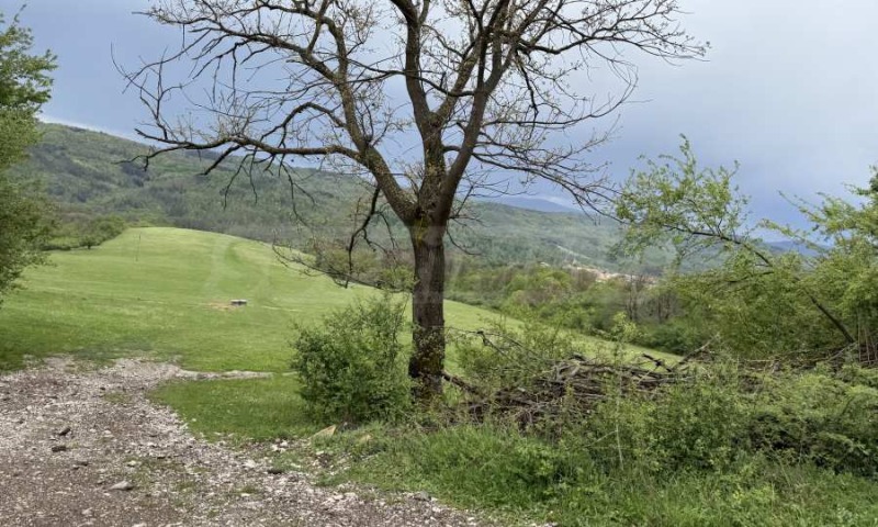 Zu verkaufen  Handlung region Gabrovo , Trjawna , 4140 qm | 20117351 - Bild [6]